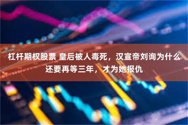 杠杆期权股票 皇后被人毒死，汉宣帝刘询为什么还要再等三年，才为她报仇