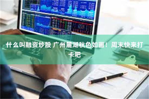 什么叫融资炒股 广州麓湖秋色如画！周末快来打卡吧