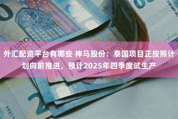 外汇配资平台有哪些 神马股份：泰国项目正按照计划向前推进，预计2025年四季度试生产