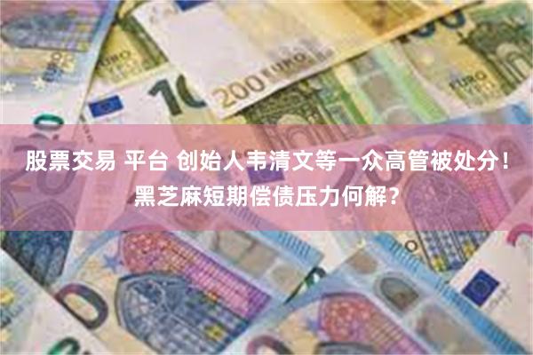 股票交易 平台 创始人韦清文等一众高管被处分！黑芝麻短期偿债压力何解？